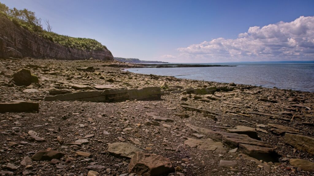 Beach at Joggins Fossil Cliffs, Bay of Fundy, Nova Scotia, Canada