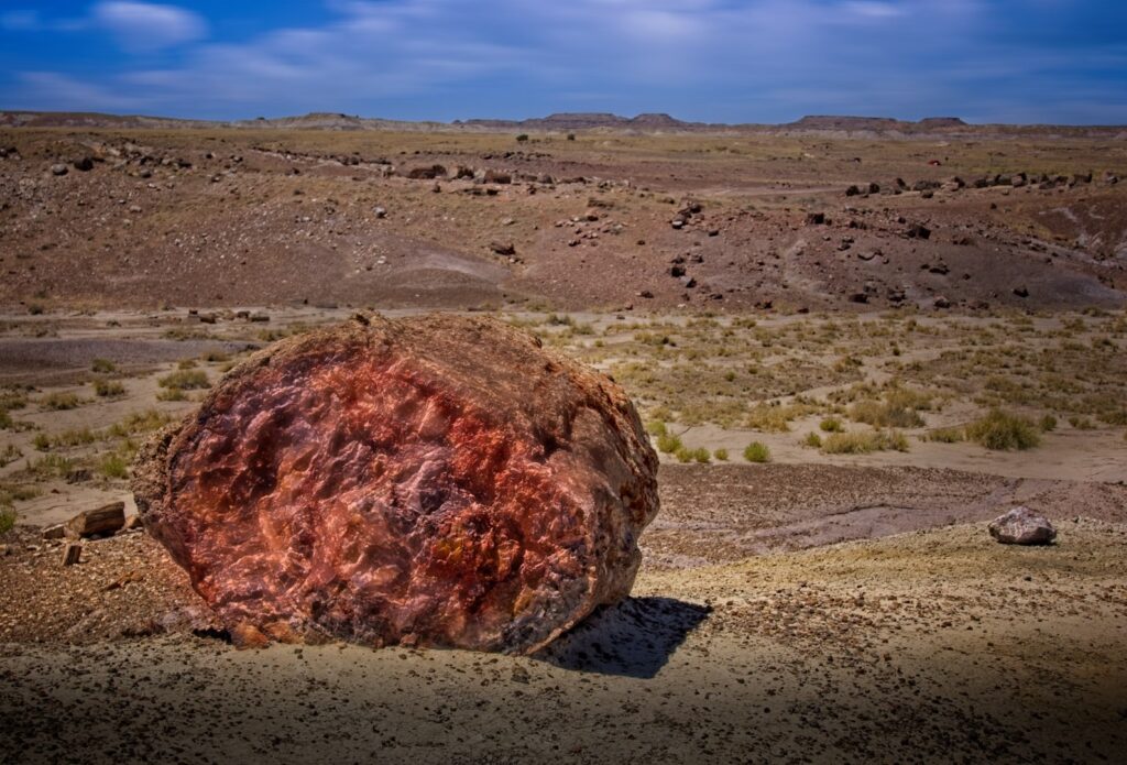 Petrified Forest Landscape, Petrified Forest National Park, Arizona