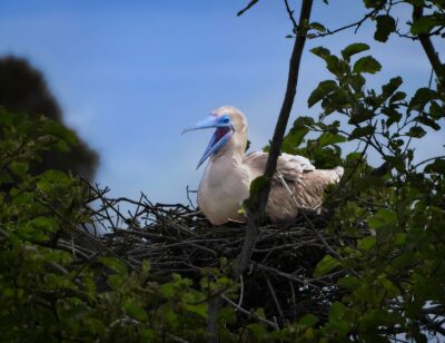 Exploring the Galapagos Islands–Part Two