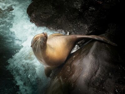 Exploring the Galápagos Islands–Part One