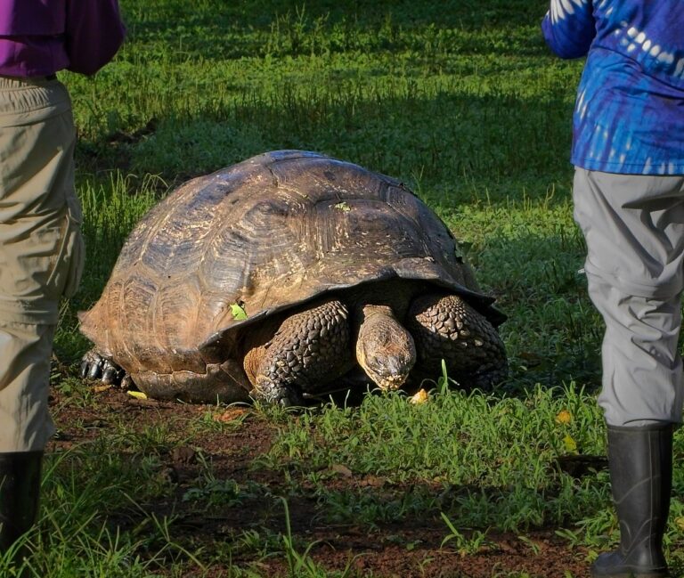 Spingarn nature photography, wildlife photography, Galapagos photography,